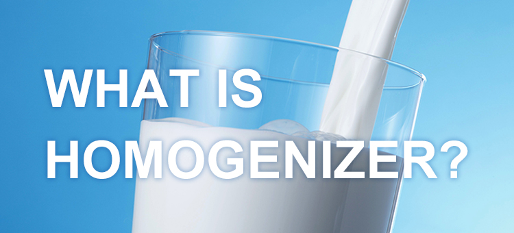 WHAT IS HOMOGENIZER?